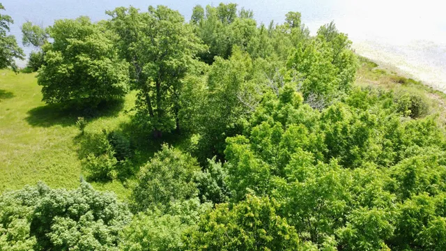 $74,900 | Tbd Wheeler Road, Northome, MN 56661