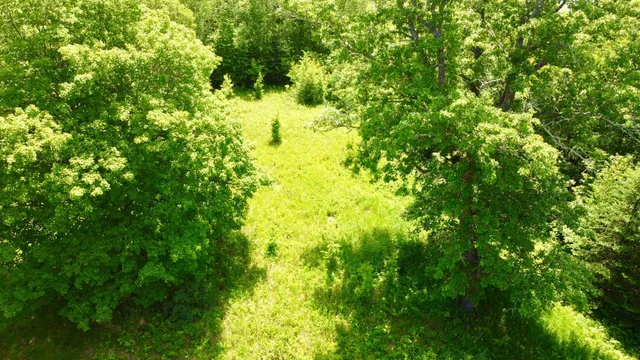 $74,900 | Tbd Wheeler Road, Northome, MN 56661