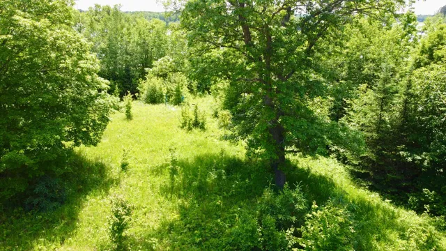 $74,900 | Tbd Wheeler Road, Northome, MN 56661