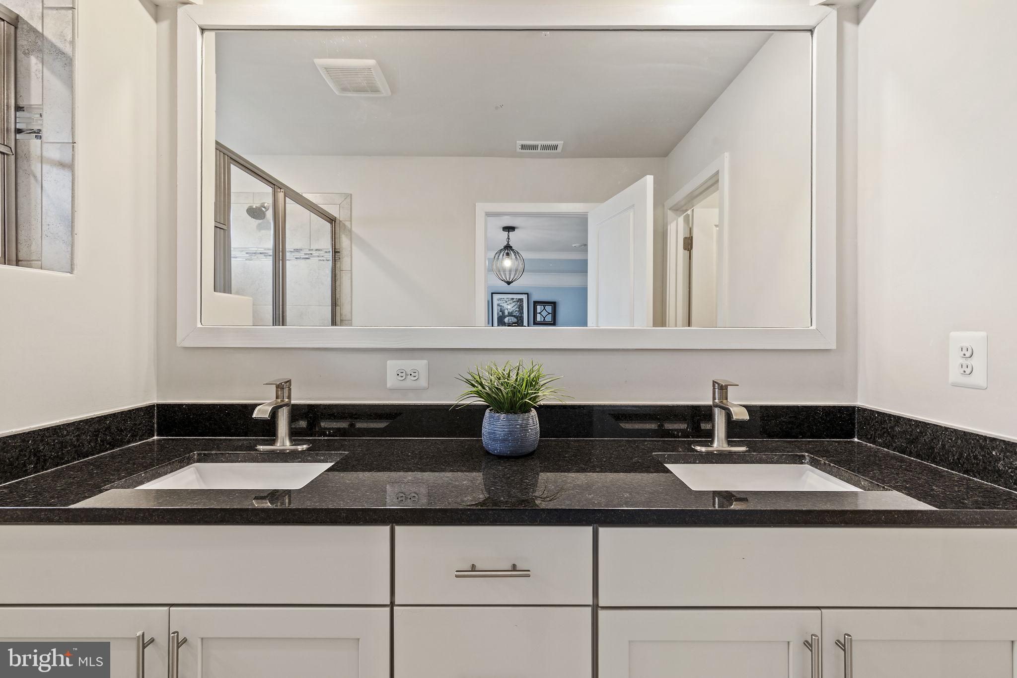 2045 Ivory Brook Road Baltimore, MD 21244 - Photo 19 of 39 a sink with a granite countertop white cabinets and a potted plant
