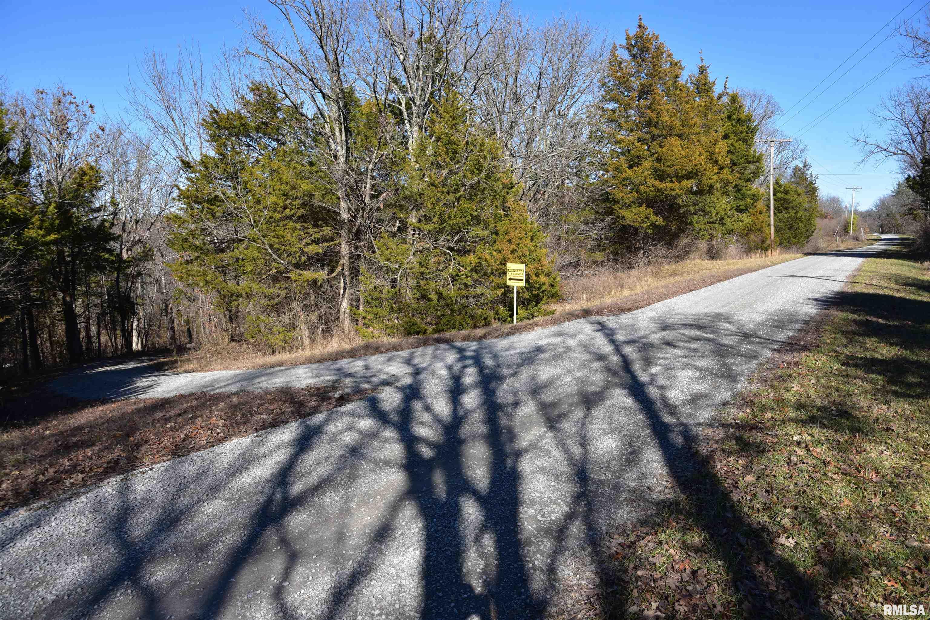 1645 Michaels Road Goreville, IL 62939 - Photo 33 of 62
