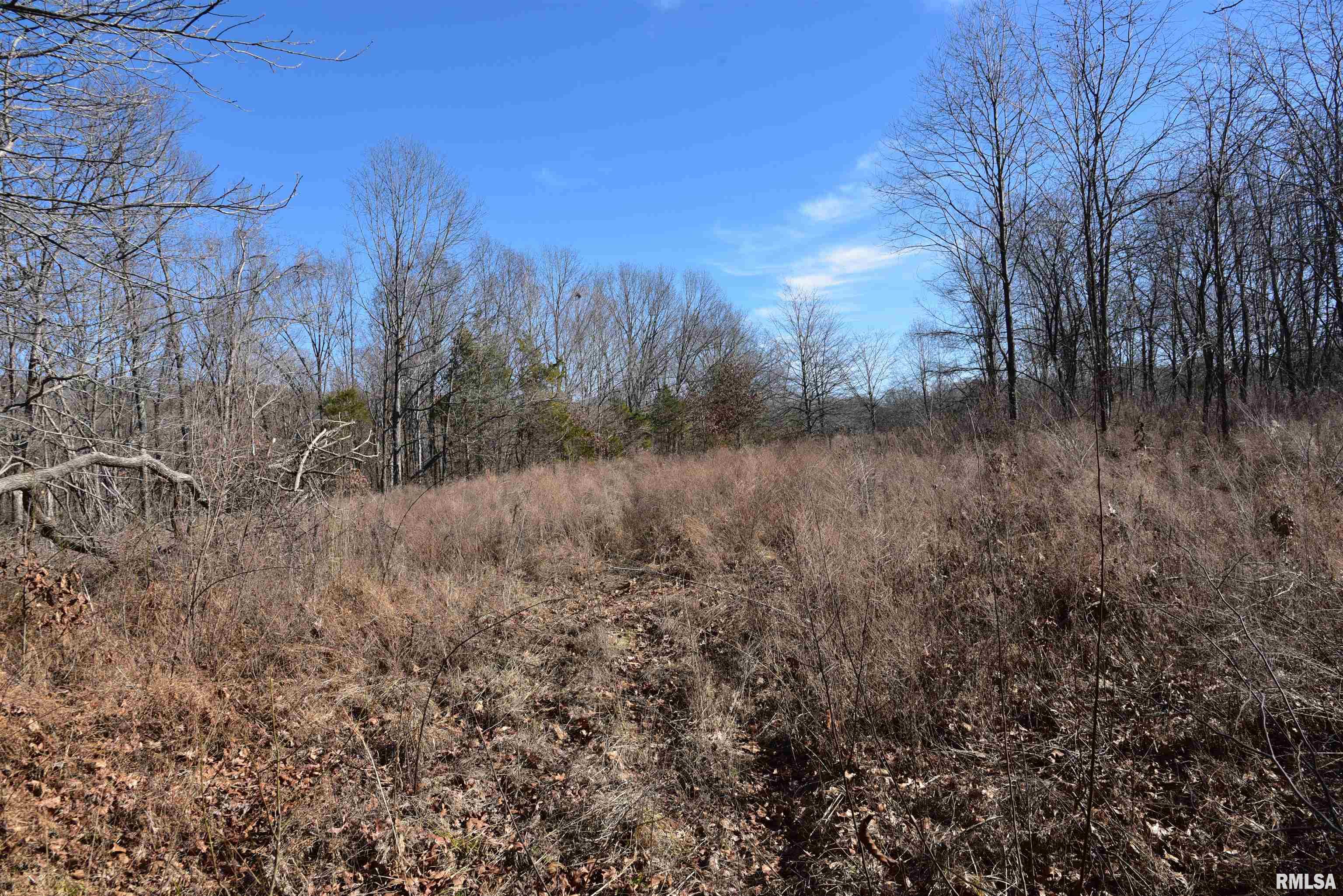 1645 Michaels Road Goreville, IL 62939 - Photo 46 of 62