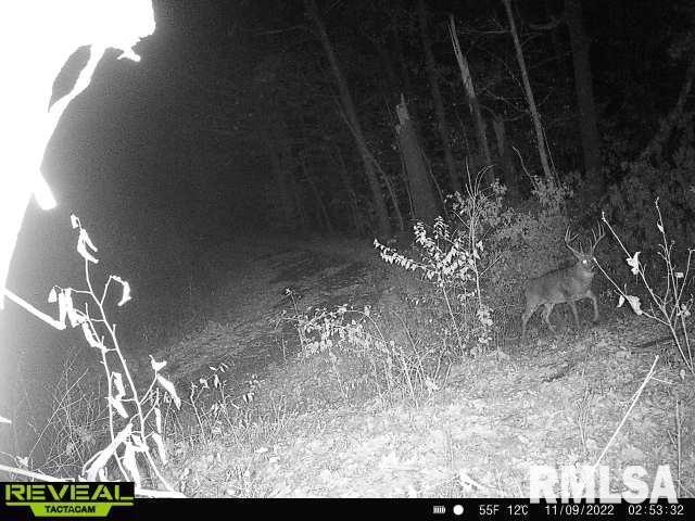 1645 Michaels Road Goreville, IL 62939 - Photo 62 of 62