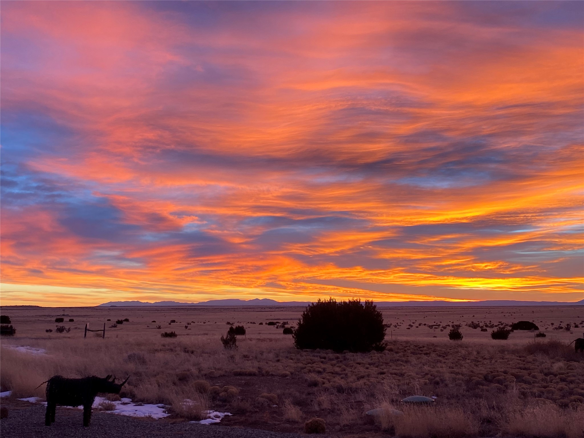 26262 US Highway 285 Ribera, NM 87560 - Photo 45 of 46