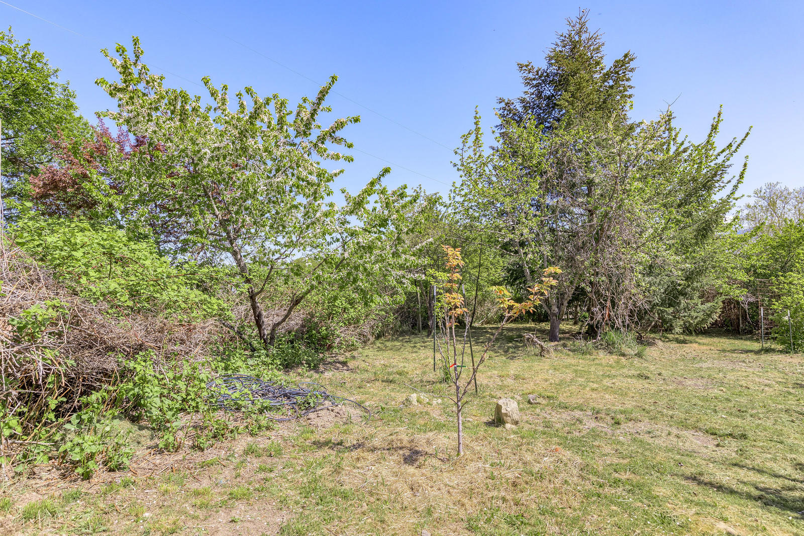 855 Holton Road Talent, OR 97540 - Photo 50 of 78 50
