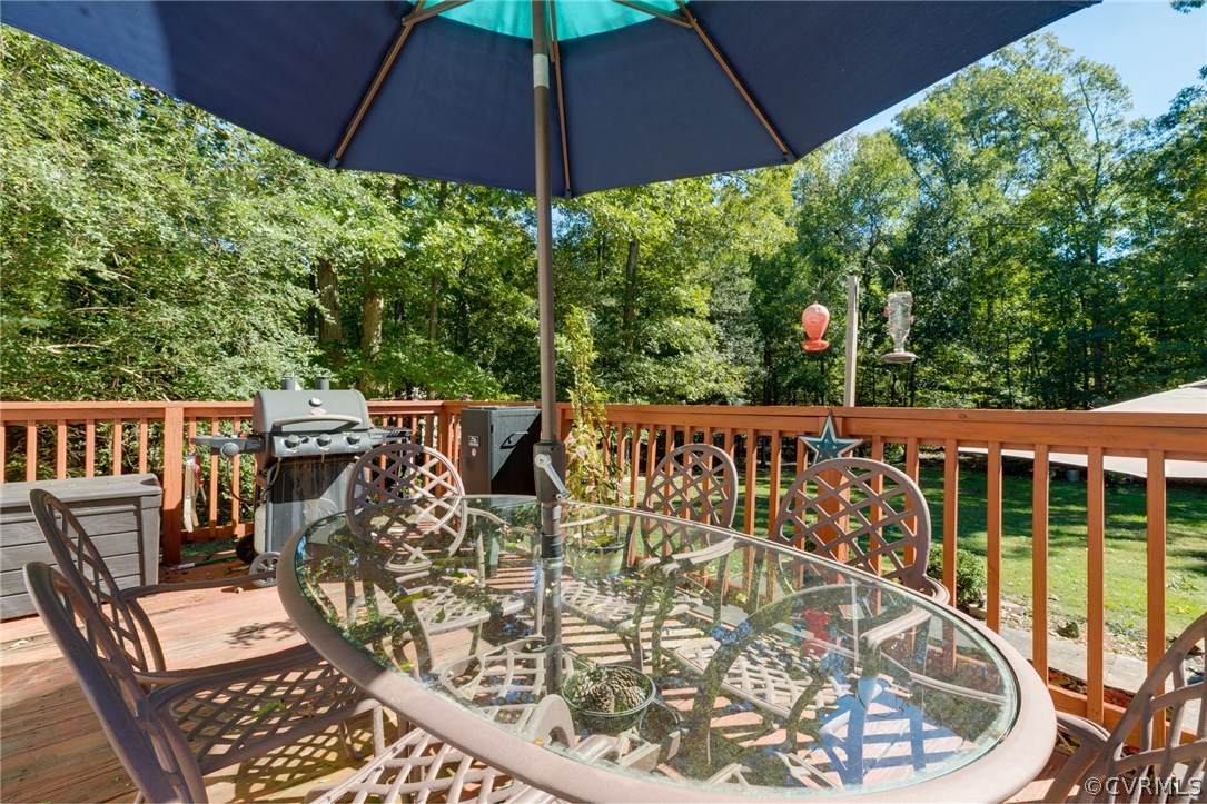 10221 Cattail Road Chesterfield, VA 23838 - Photo 13 of 34