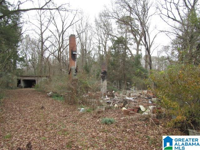 253 Old County Rd 109 Anniston, AL 36201 - Photo 7 of 10