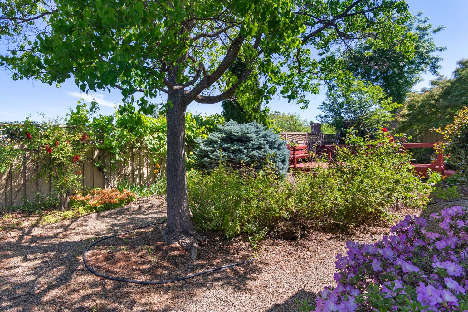 2464 Winding Way Lincoln, CA 95648 - Photo 42 of 71