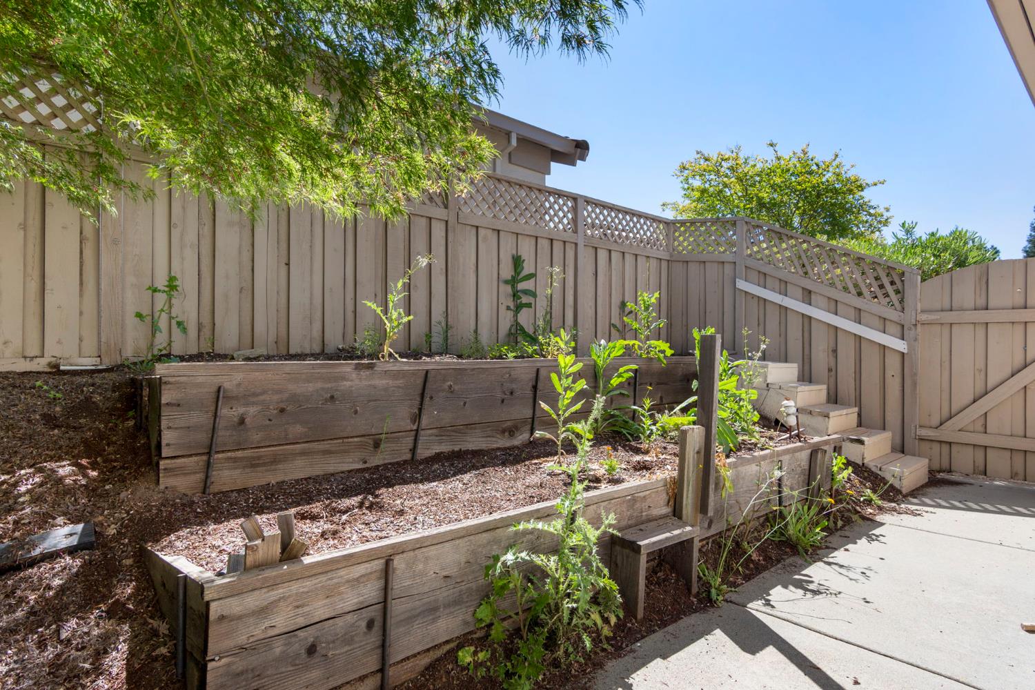 2464 Winding Way Lincoln, CA 95648 - Photo 46 of 71