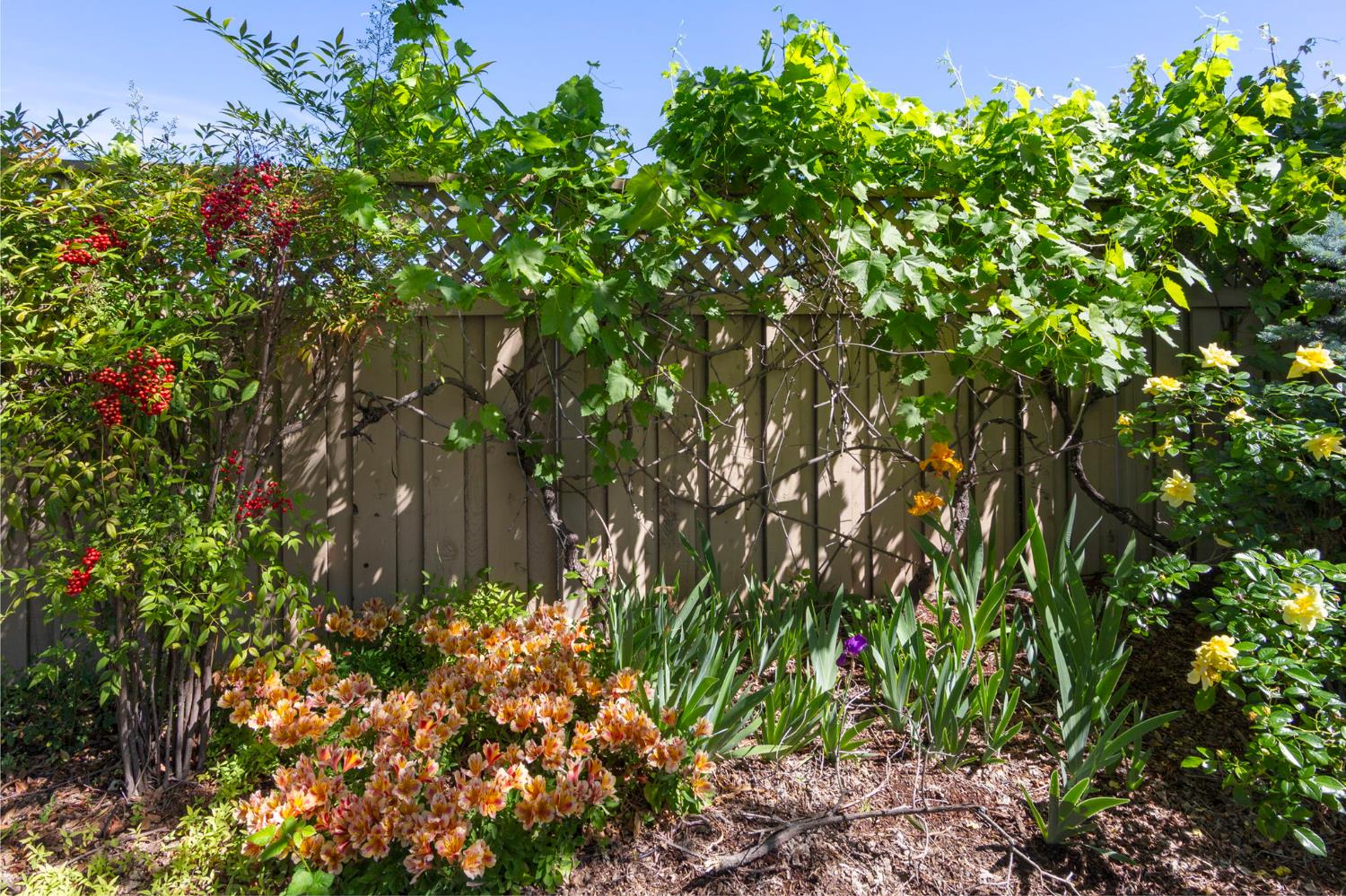 2464 Winding Way Lincoln, CA 95648 - Photo 47 of 71