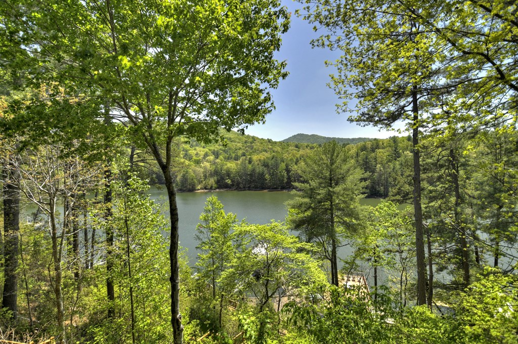 670 Magnolia Drive Blue Ridge, GA 30513 - Photo 4 of 78 Gallery Image 4