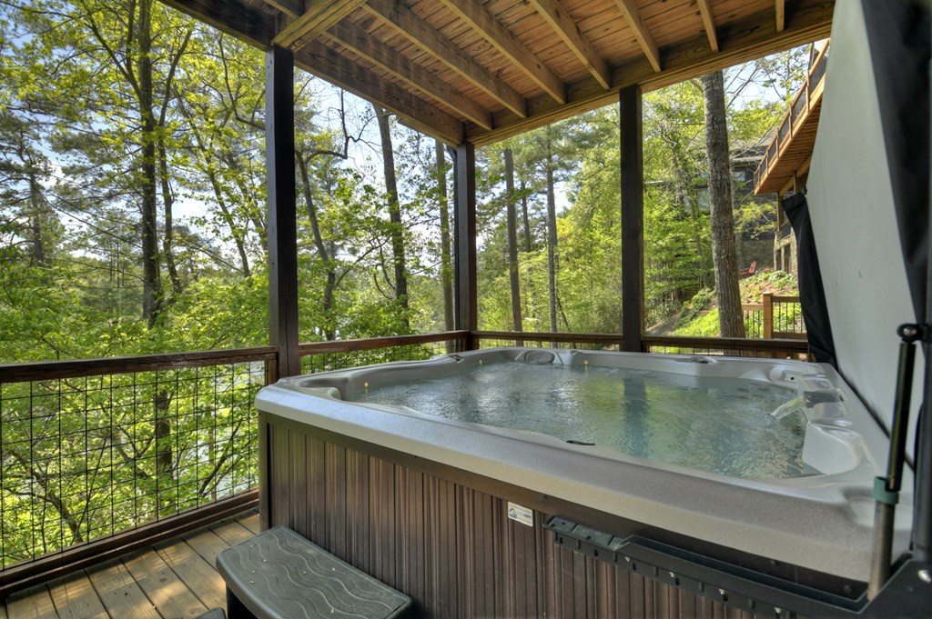 670 Magnolia Drive Blue Ridge, GA 30513 - Photo 52 of 78 Gallery Image 52