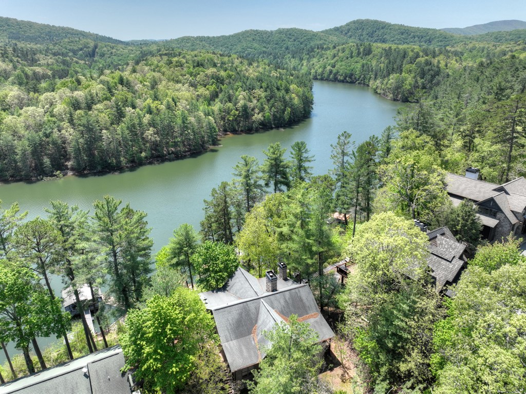 670 Magnolia Drive Blue Ridge, GA 30513 - Photo 61 of 78 Gallery Image 61