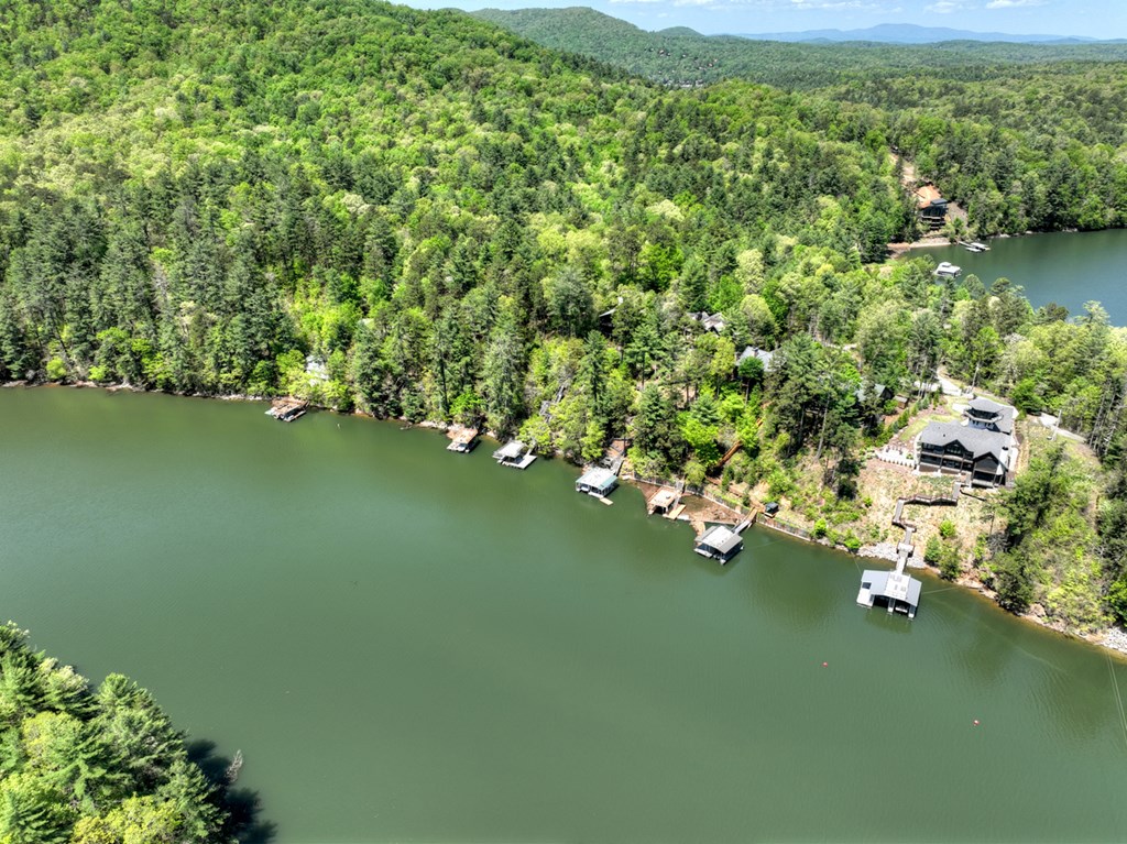 670 Magnolia Drive Blue Ridge, GA 30513 - Photo 76 of 78 Gallery Image 76