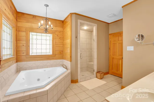 a bathroom with a bathtub and a shower