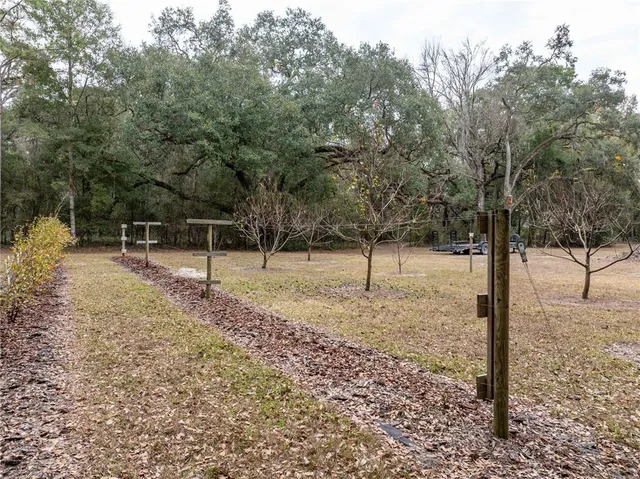 a view of a house with backyard and trees