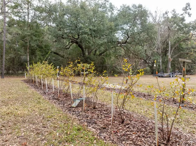 a view of a house with a yard and a large tree