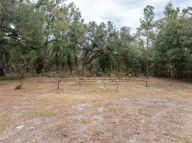 a view of a bench in a yard