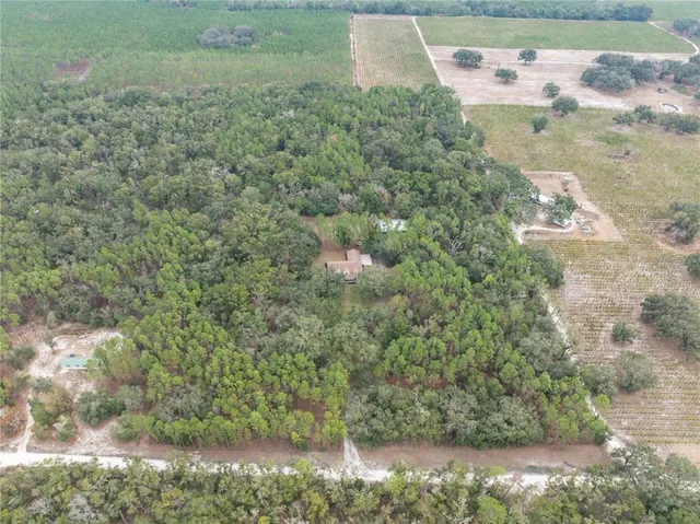 a view of a patio with table and chairs and potted plants