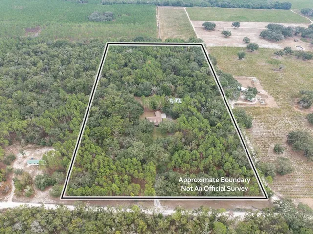 a view of a field with an trees