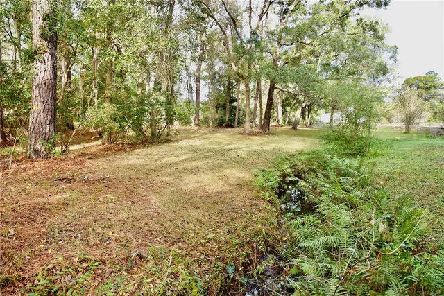 a garden with trees in the background