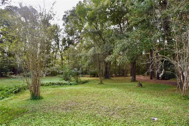 a view of a pathway both side of building