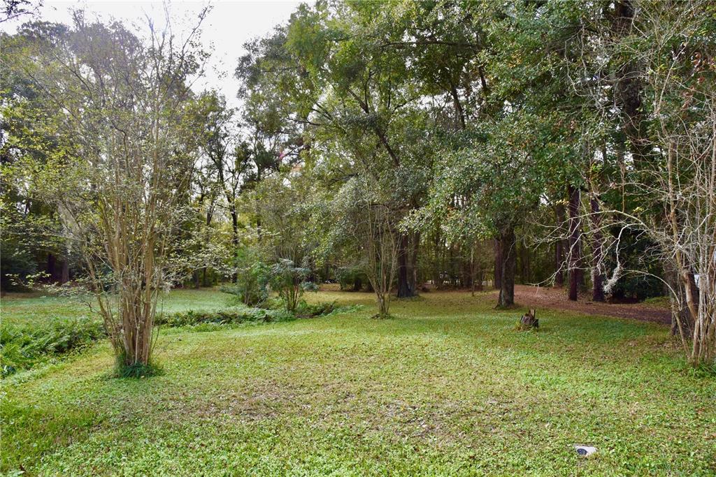 8230 Lenox Avenue Jacksonville, FL 32221 - Photo 26 of 34 a garden with trees in the background