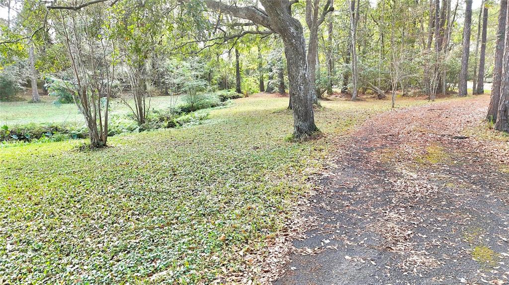 8230 Lenox Avenue Jacksonville, FL 32221 - Photo 6 of 34 a view of a yard with trees