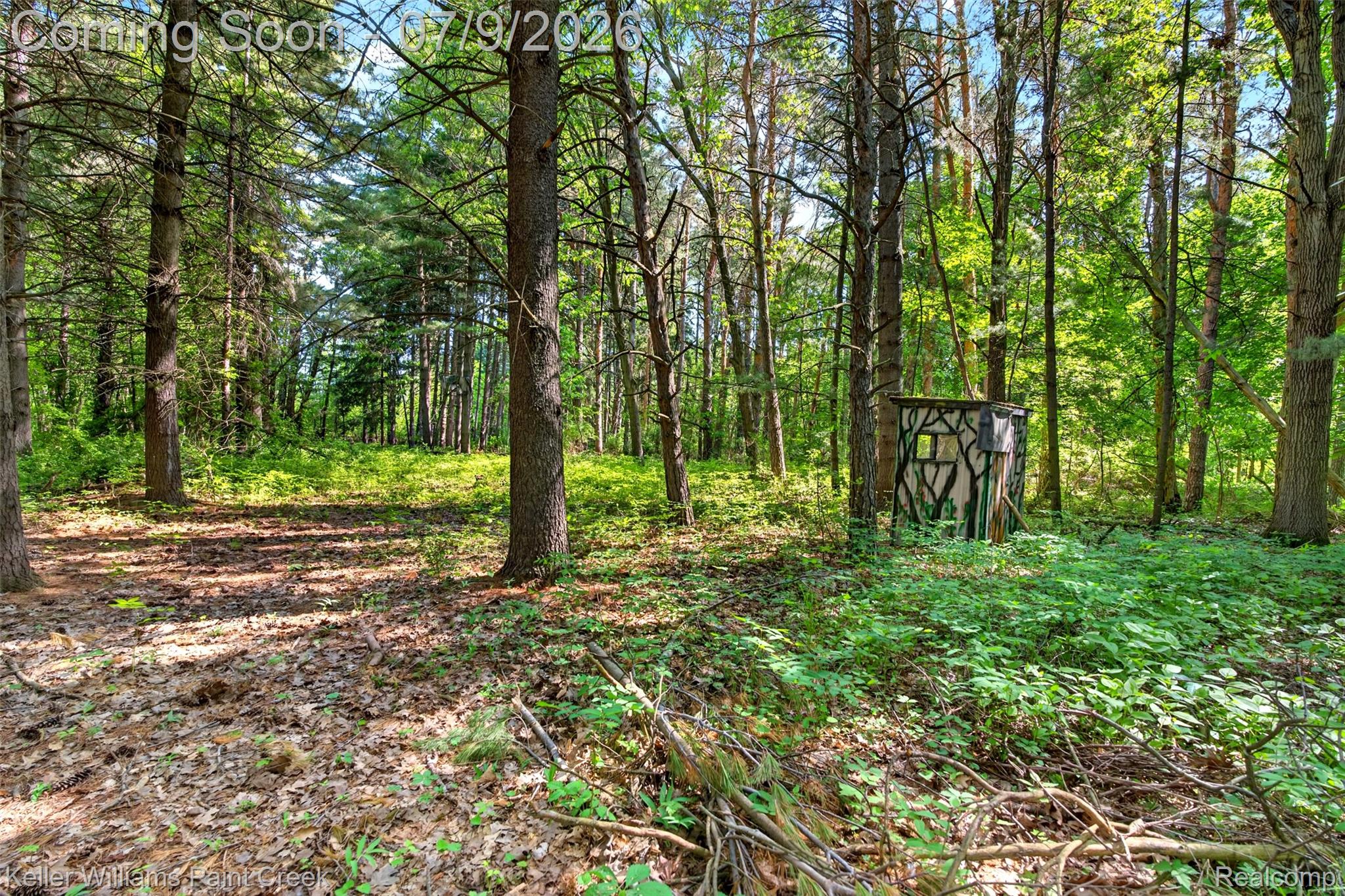 204 Russell Road Kawkawlin, MI 48631 - Photo 16 of 82 Wooded parcel featuring mature deciduous and evergreen trees, dense undergrowth, and varied ground cover