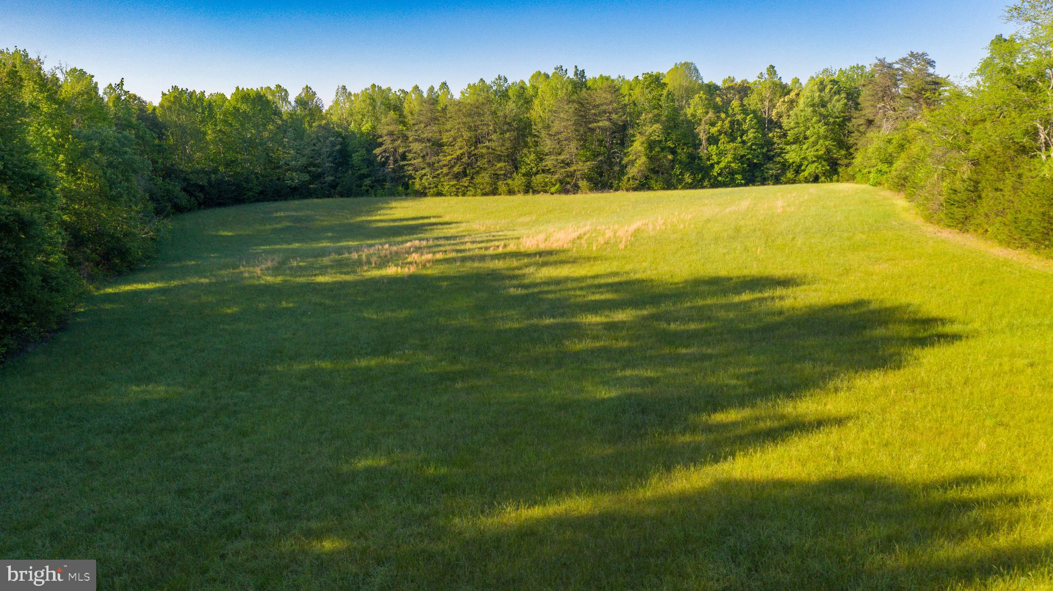 0 Trivette Road Beaverdam, VA 23015 - Photo 18 of 45
