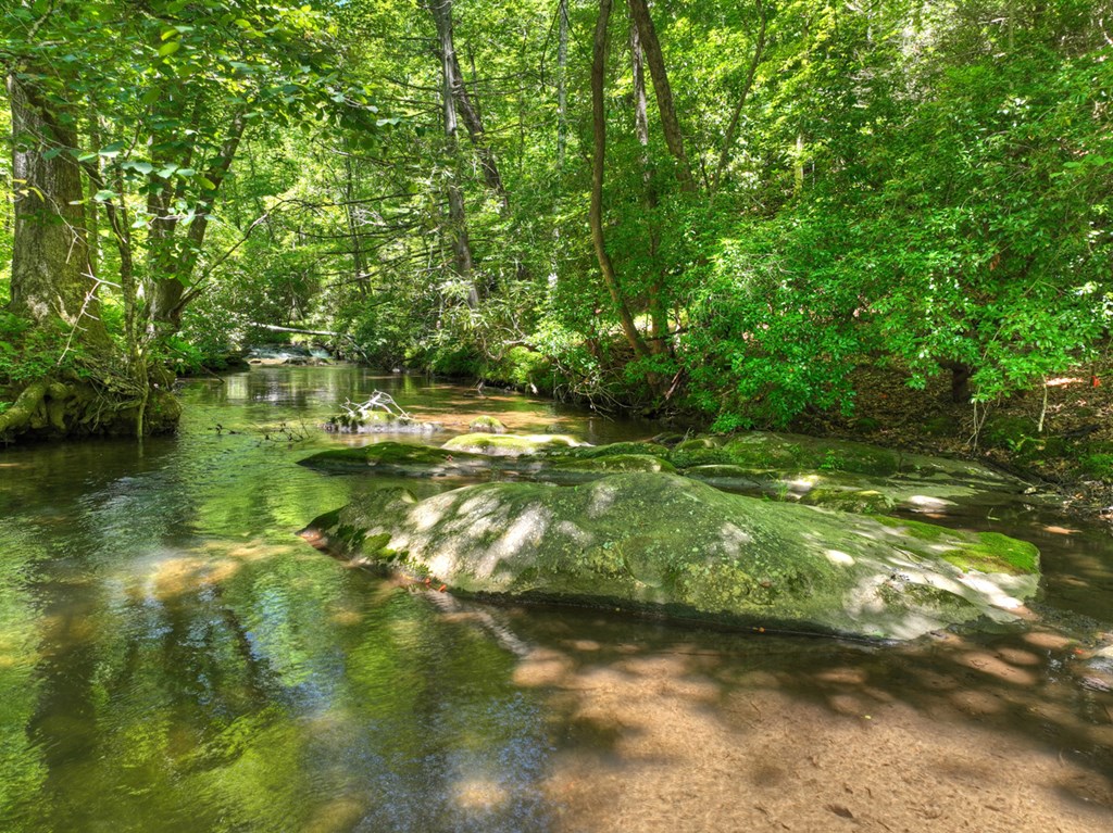 2628 Big Creek Road Cherry Log, GA 30522 - Photo 68 of 69