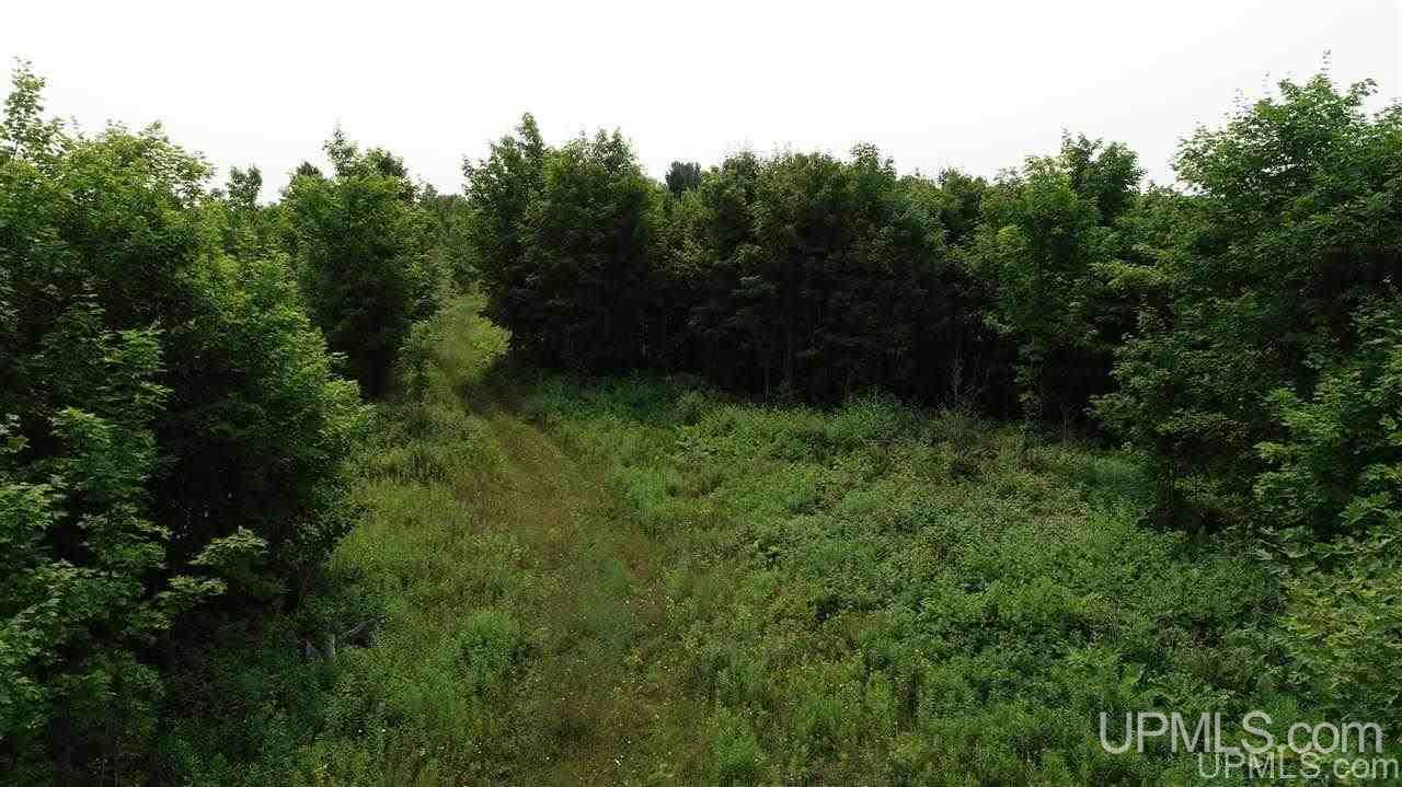 Tbd Southside Road Manistique, MI 49854 - Photo 14 of 36 Gallery Image 14