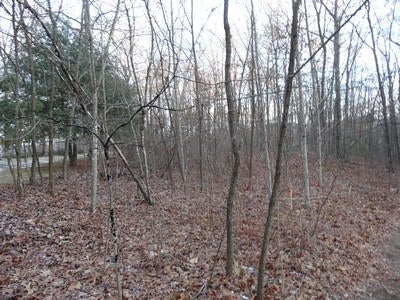 Anderson Estates Road Lewisburg, WV 24901 - Photo 16 of 17 Gallery Image 16