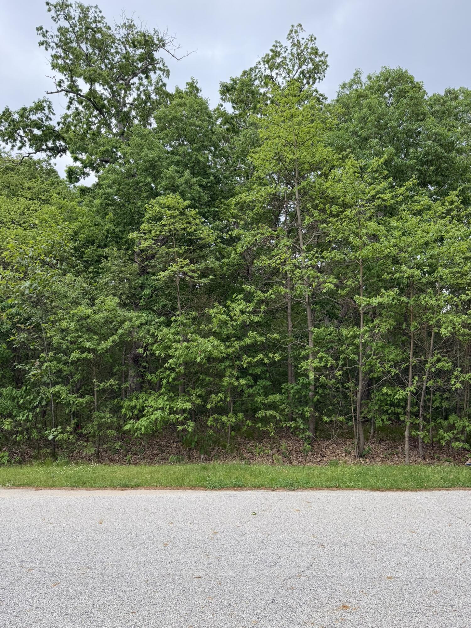 Vacant Lot Vacant East Demotte, IN 46310 - Photo 2 of 5 1500x2000