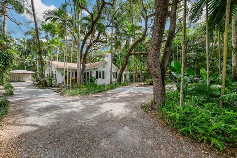 a view of a road with plants and trees