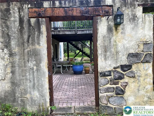 a view of a backyard with plants and trees