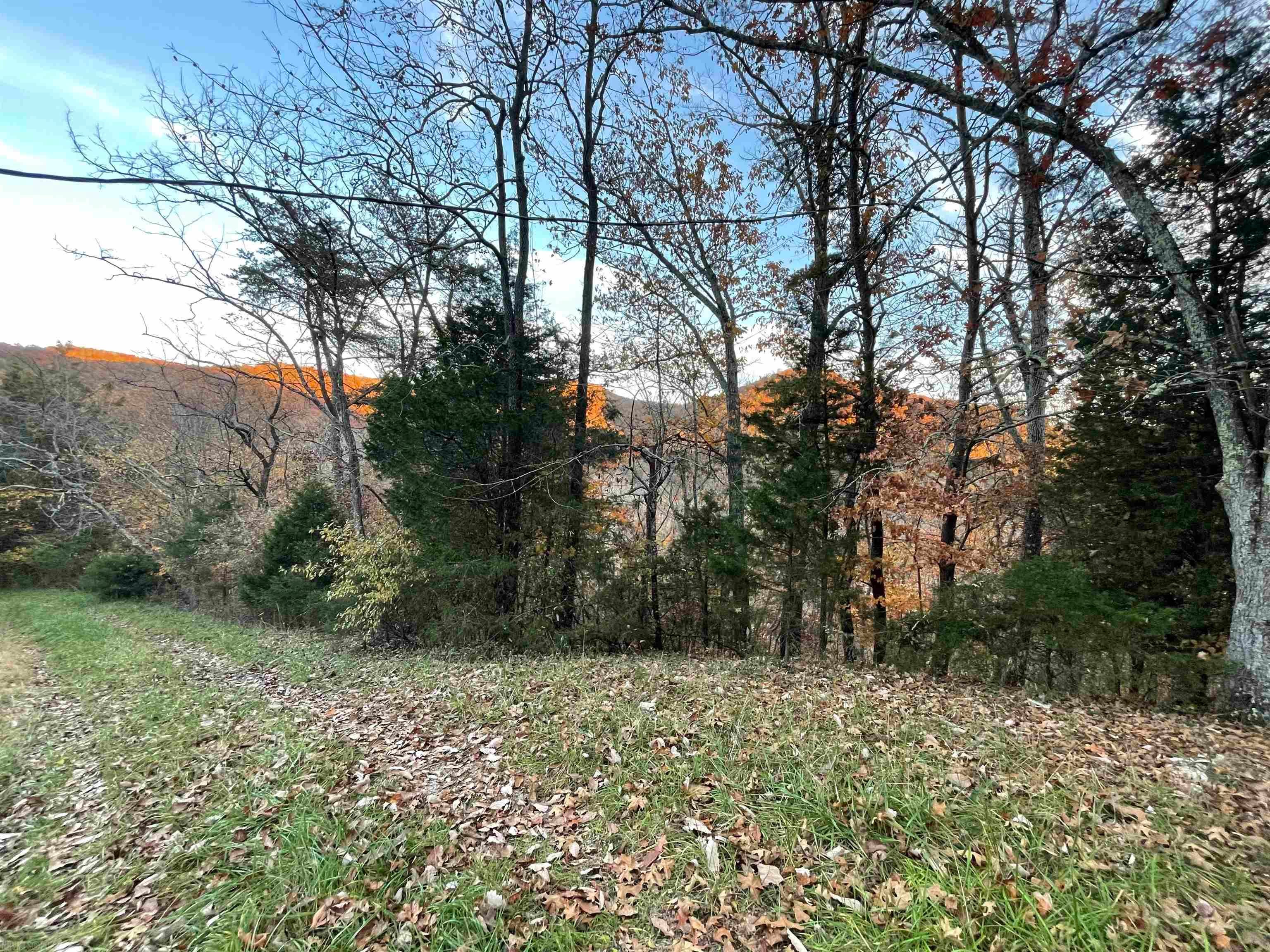 3263 Ironto Road Elliston, VA 24087 - Photo 20 of 69 Gallery Image 20