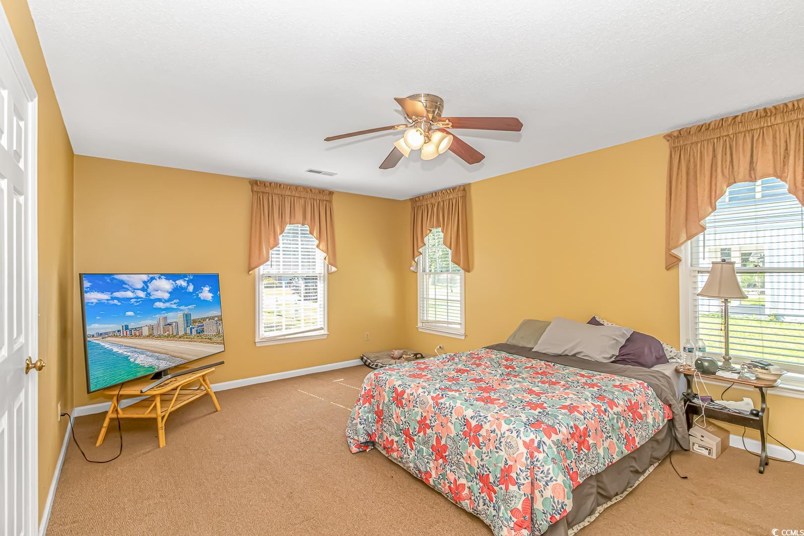 117 Blackjack Lane Myrtle Beach, SC 29588 - Photo 15 of 30