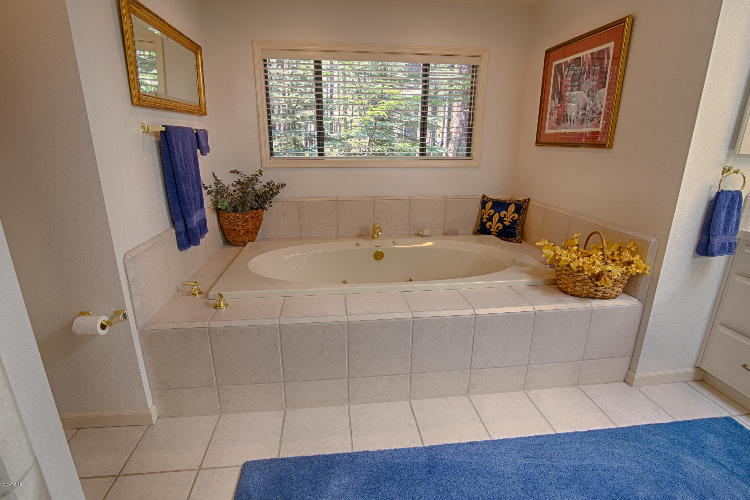 7775 Indian Bend Road Pinetop, AZ 85935 - Photo 11 of 24 Gallery Image 11