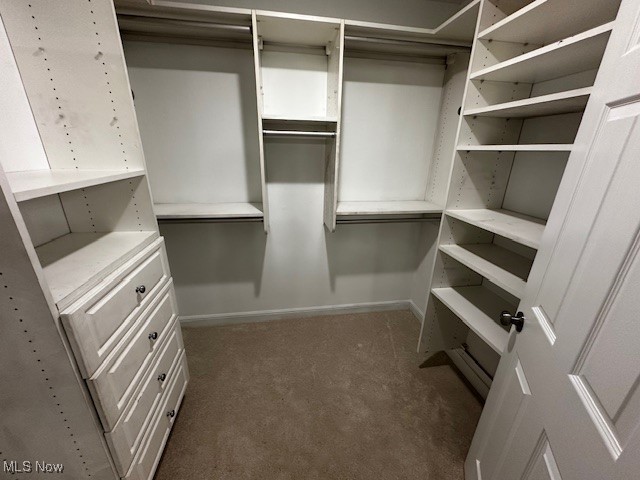 12470 Caves Road Chesterland, OH 44026 - Photo 14 of 24 Spacious closet featuring dark colored carpet