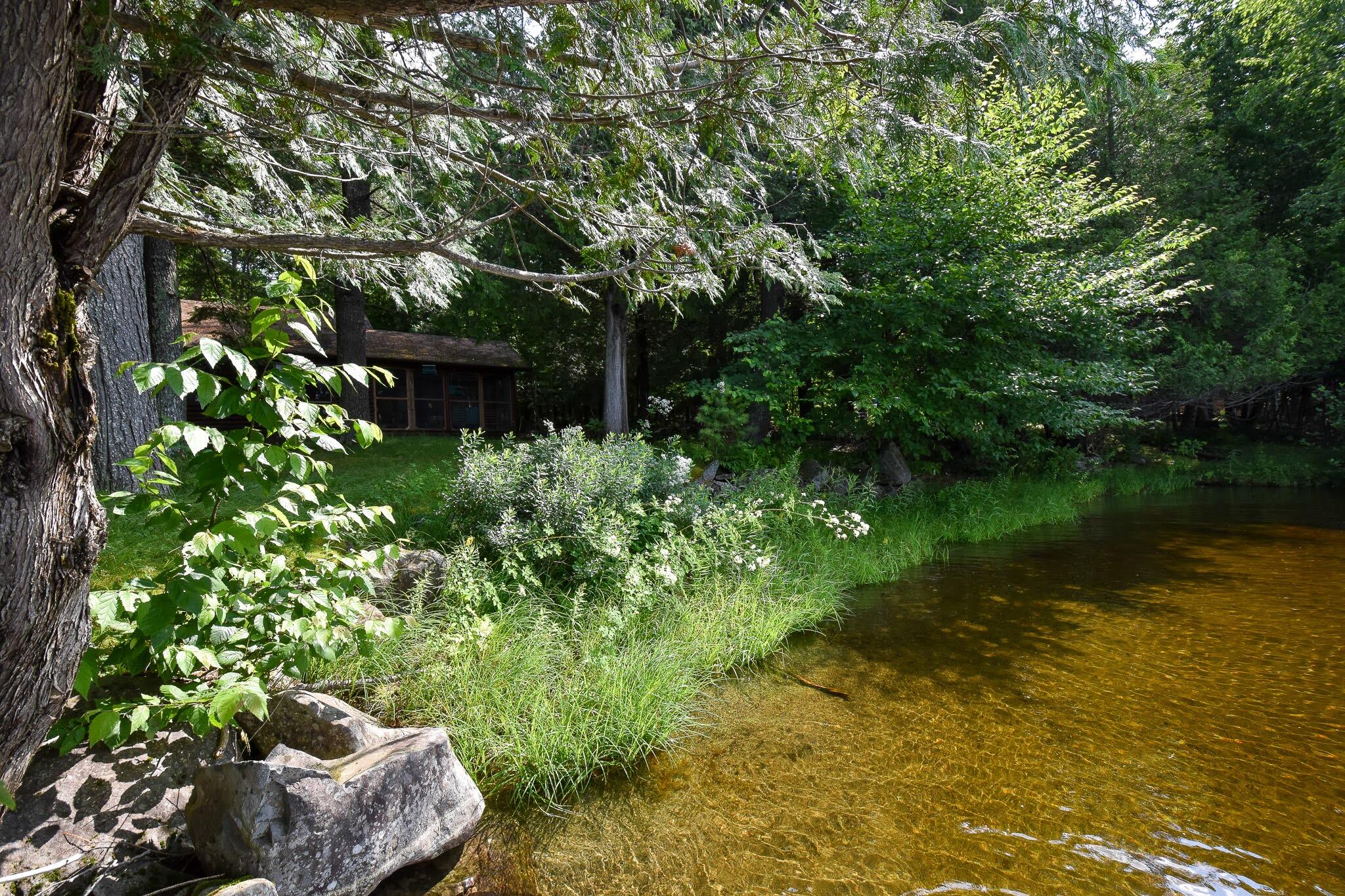 215 Larrabee Farm Road Dover-Foxcroft, ME 04426 - Photo 39 of 46 DSC_0952