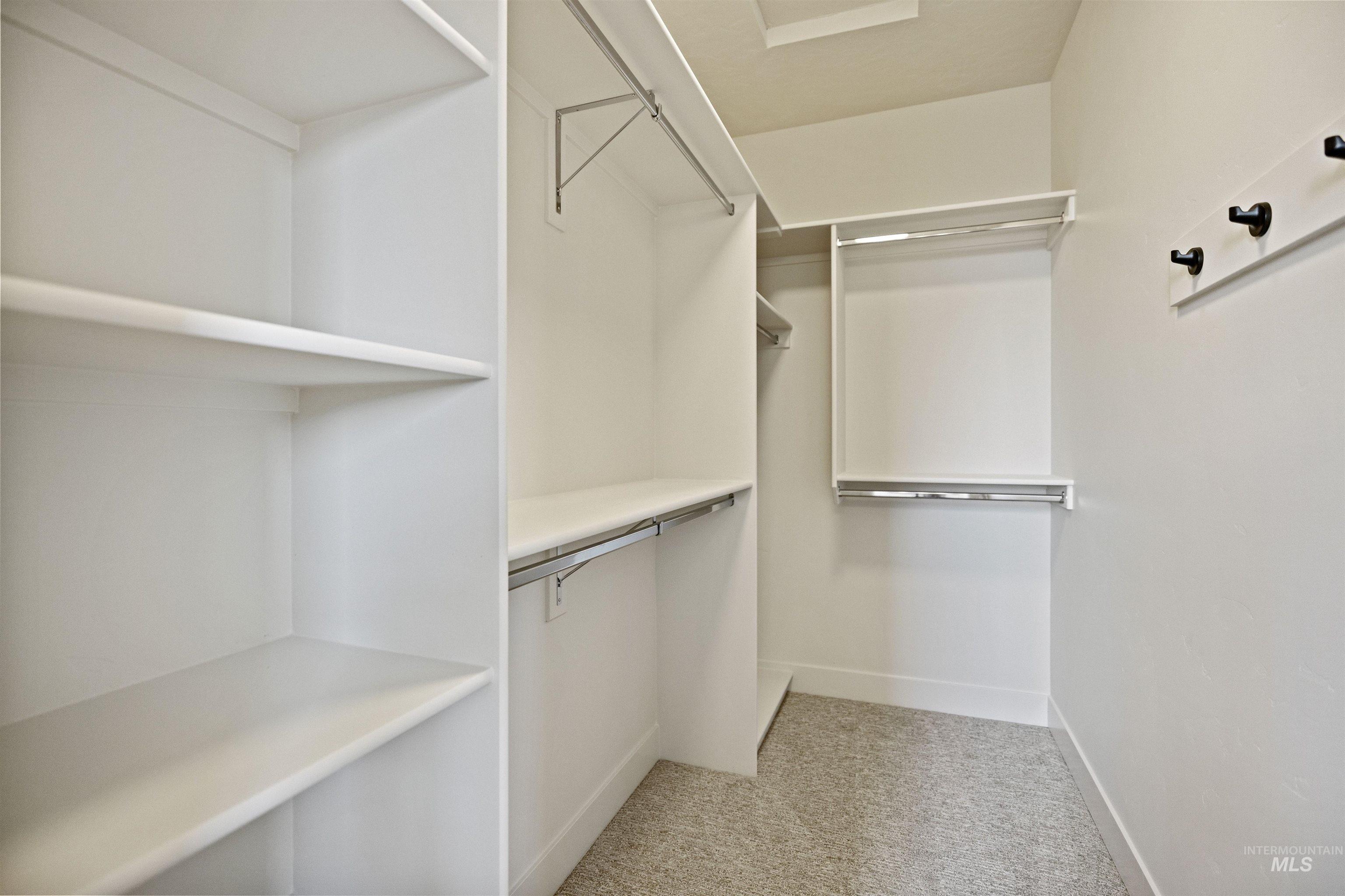 3515 South El Rio Avenue Boise, ID 83709 - Photo 28 of 47 Walk in closet with light carpet