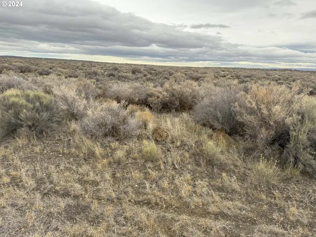 $9,500 | East Thorn Lane, Unit TL 2200, Christmas Valley, OR 97641