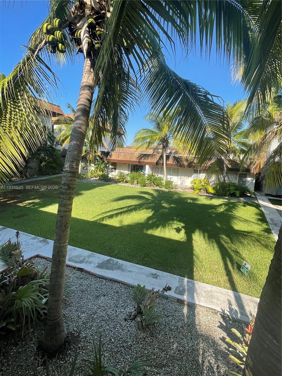 7483 Southwest 82nd Street, Unit A101 Miami, FL 33143 - Photo 5 of 39 a view of a yard with a palm tree