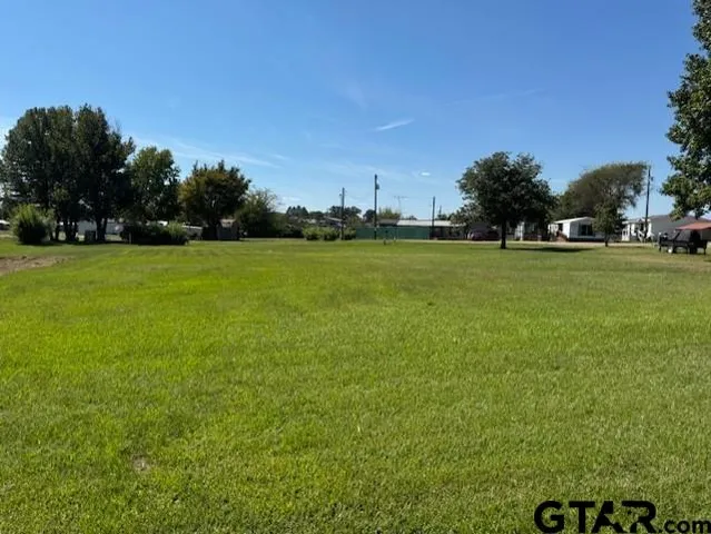 a view of a field of grass and trees