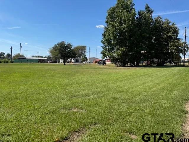 a view of a field of grass and trees