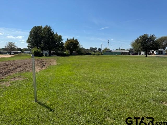 Lot 254-255 Choctaw & Kickapoo Quitman, TX 75783 - Photo 5 of 14 a view of a field of grass and trees