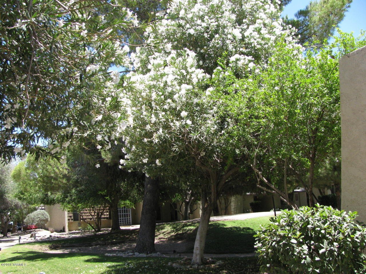 3750 North Country Club Road, Unit 23 Tucson, AZ 85716 - Photo 1 of 24