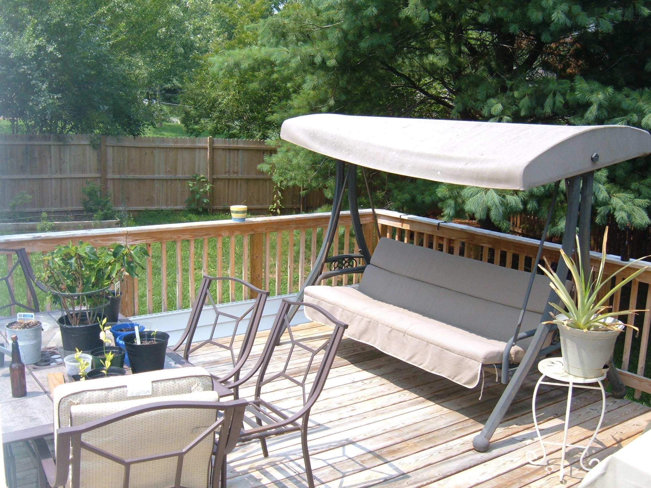 1809 Strathmore Road Knoxville, TN 37922 - Photo 17 of 21 012