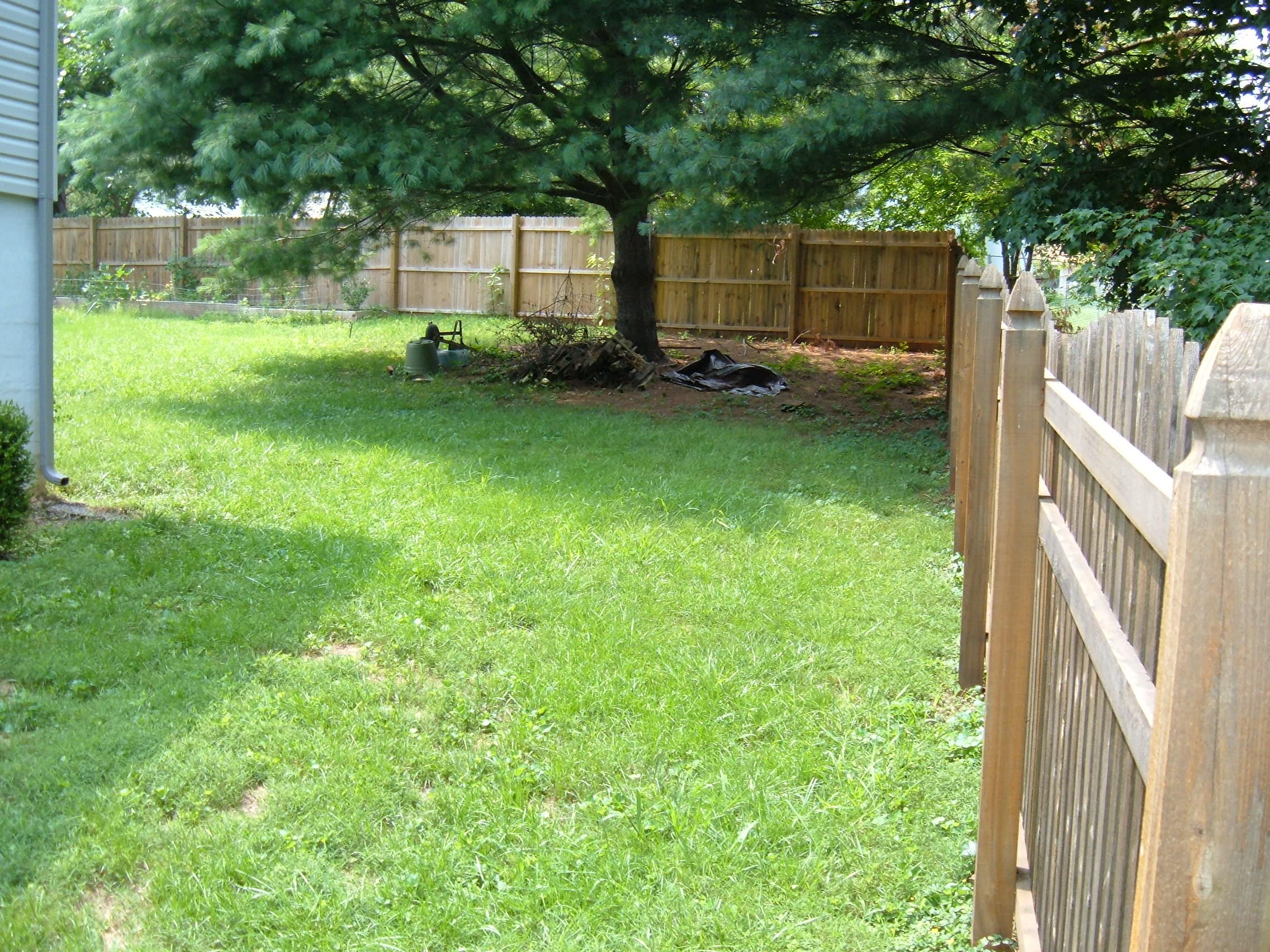 1809 Strathmore Road Knoxville, TN 37922 - Photo 19 of 21 020